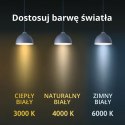 Lampa sufitowa Ibros średnia CCT 1xLED biała IP44 LP-7001/1C WH-63 18 CCT